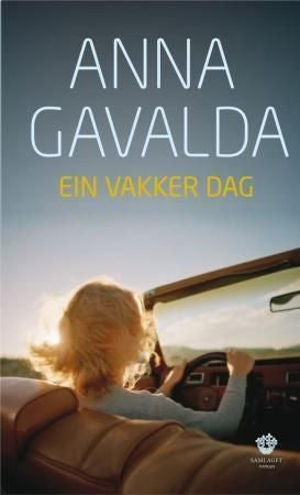 Ein vakker dag - roman