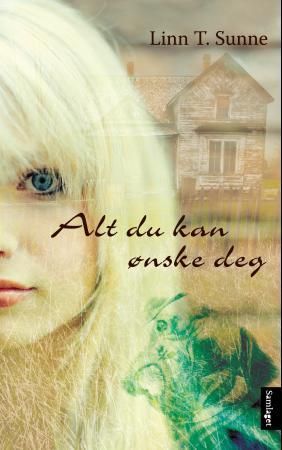 Alt du kan ønske deg - roman