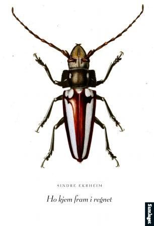 Ho kjem fram i regnet - dikt