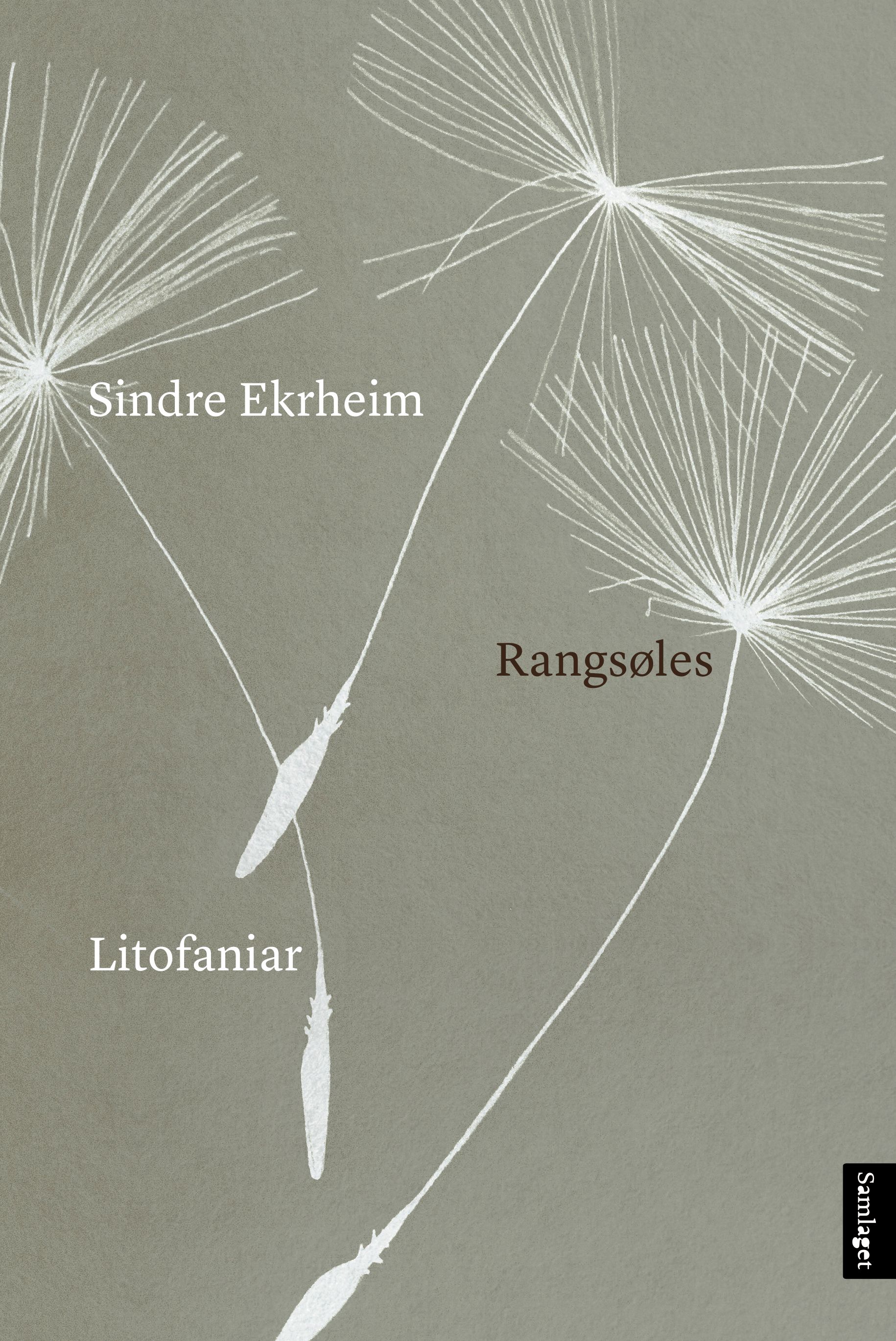 Rangsøles - litofaniar
