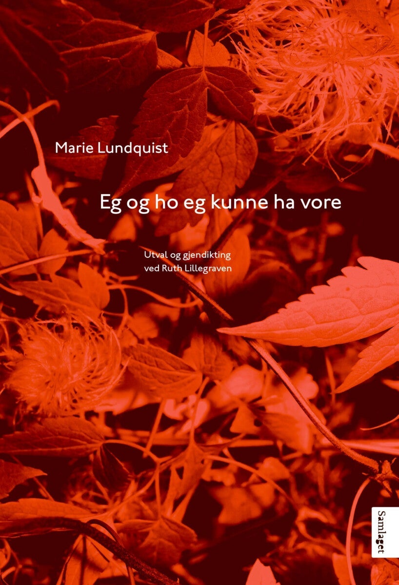 Eg og ho eg kunne ha vore