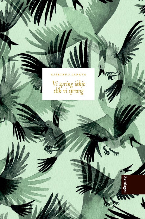 Vi spring ikkje slik vi sprang - roman