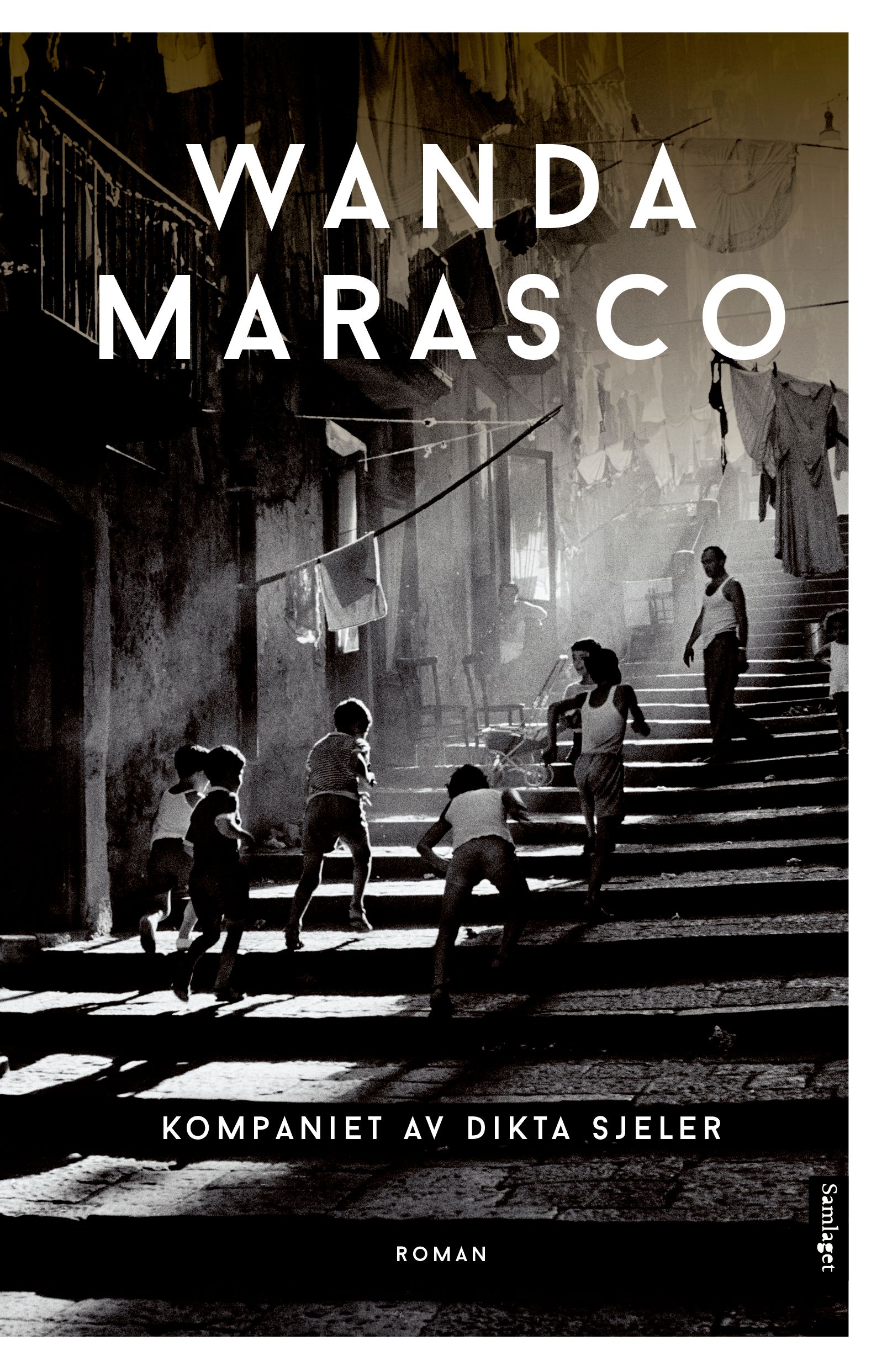 Kompaniet av dikta sjeler - roman