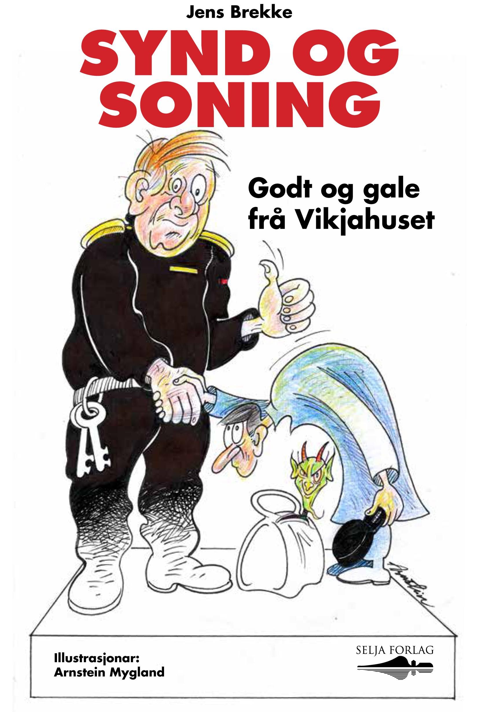 Synd og soning - godt og gale frå Vikjahuset