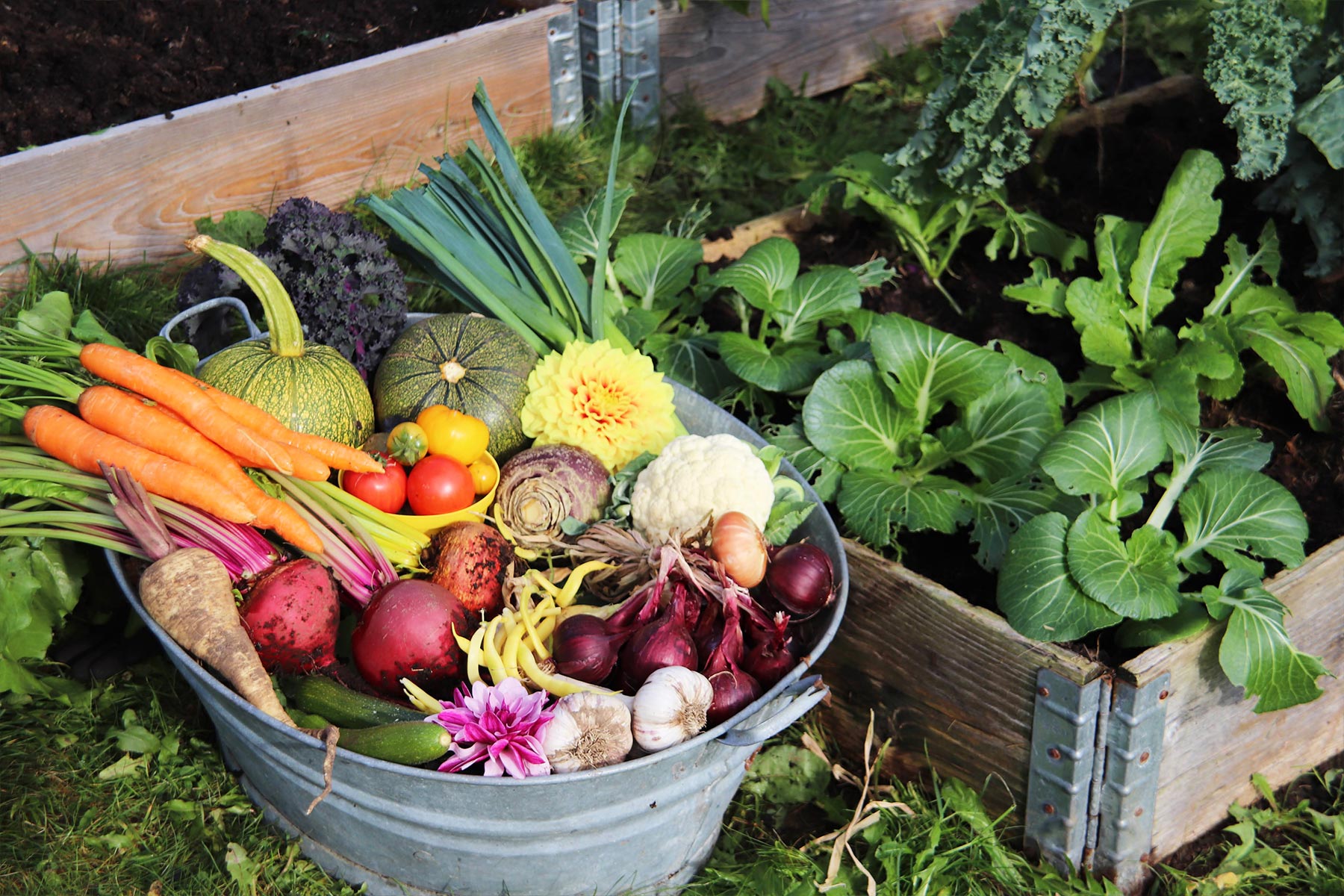 Matauk med pallekarm