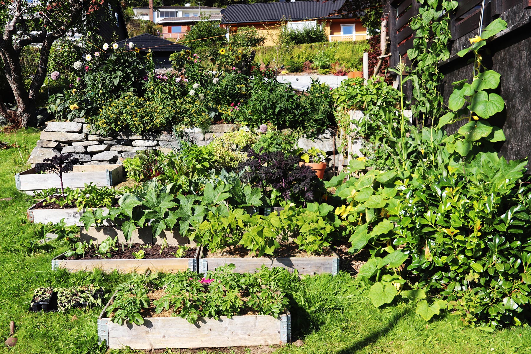 Matauk med pallekarm