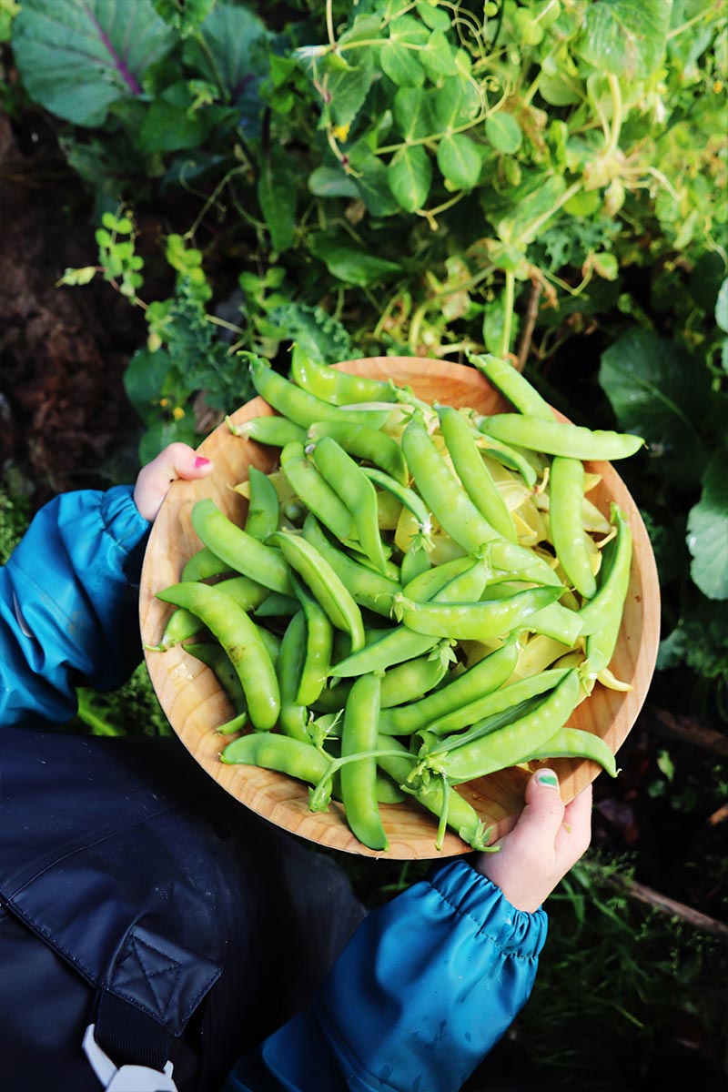 Matauk med pallekarm