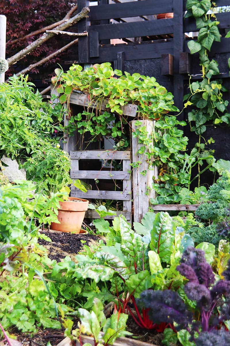 Matauk med pallekarm