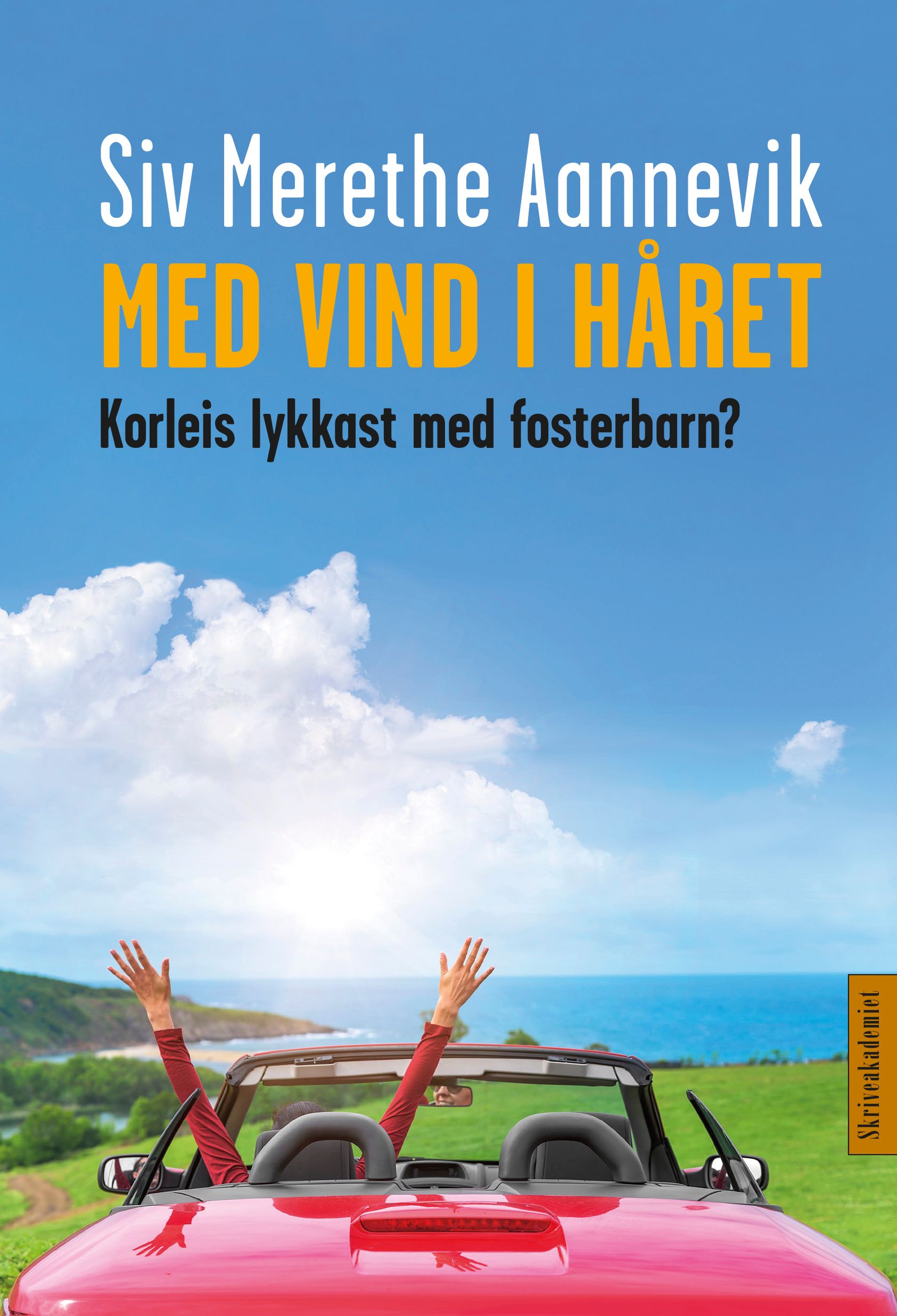 Med vind i håret - korleis lykkast med fosterbarn?