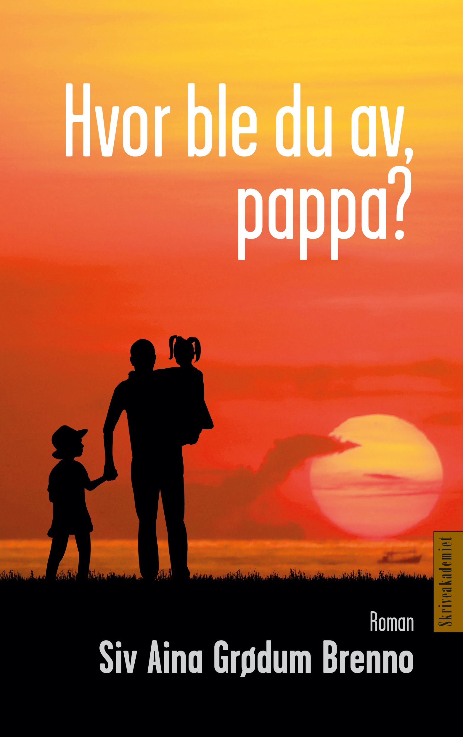 Hvor ble du av, pappa? - roman