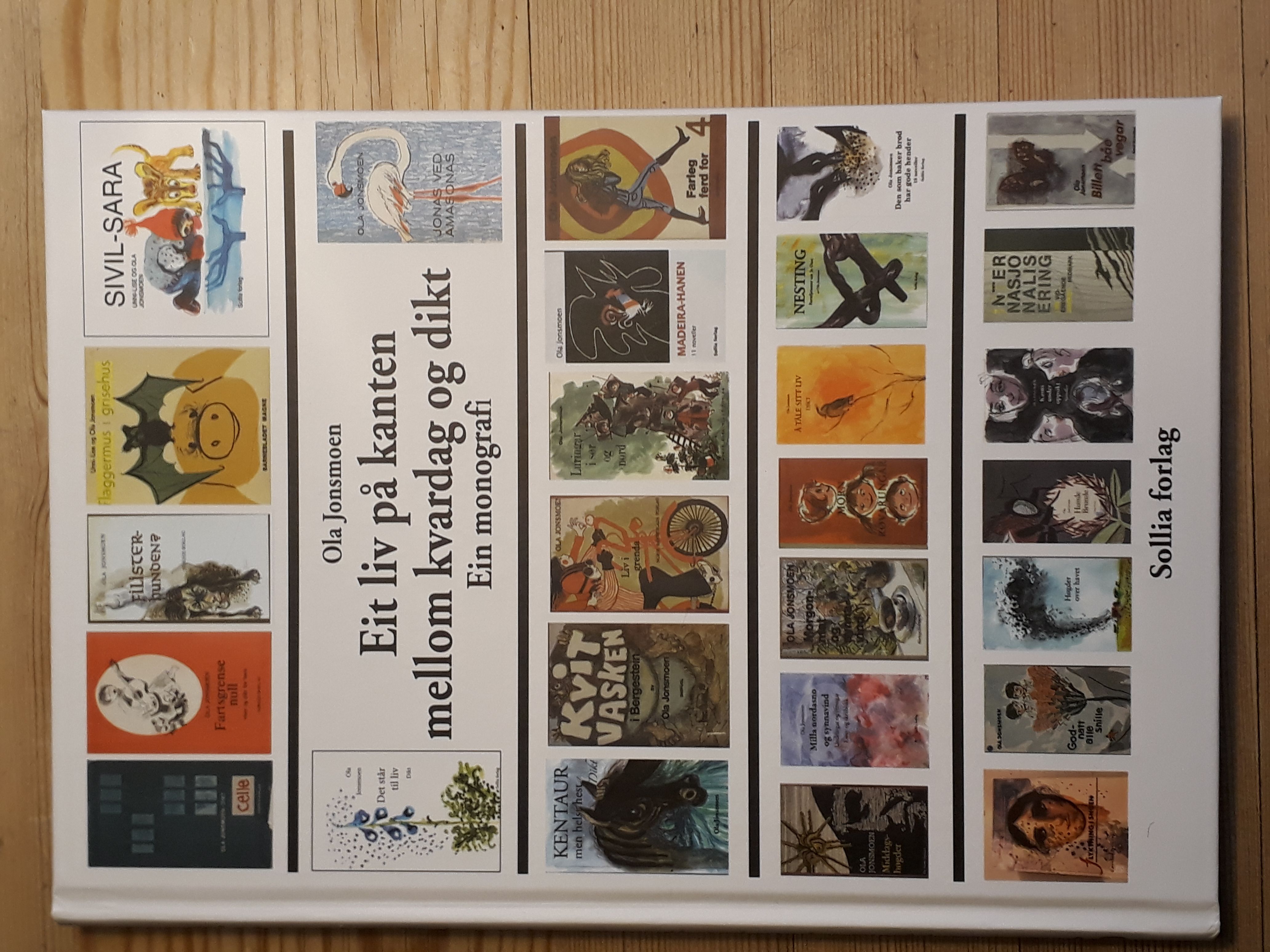 Eit liv på kanten mellom kvardag og dikt - ein monografi