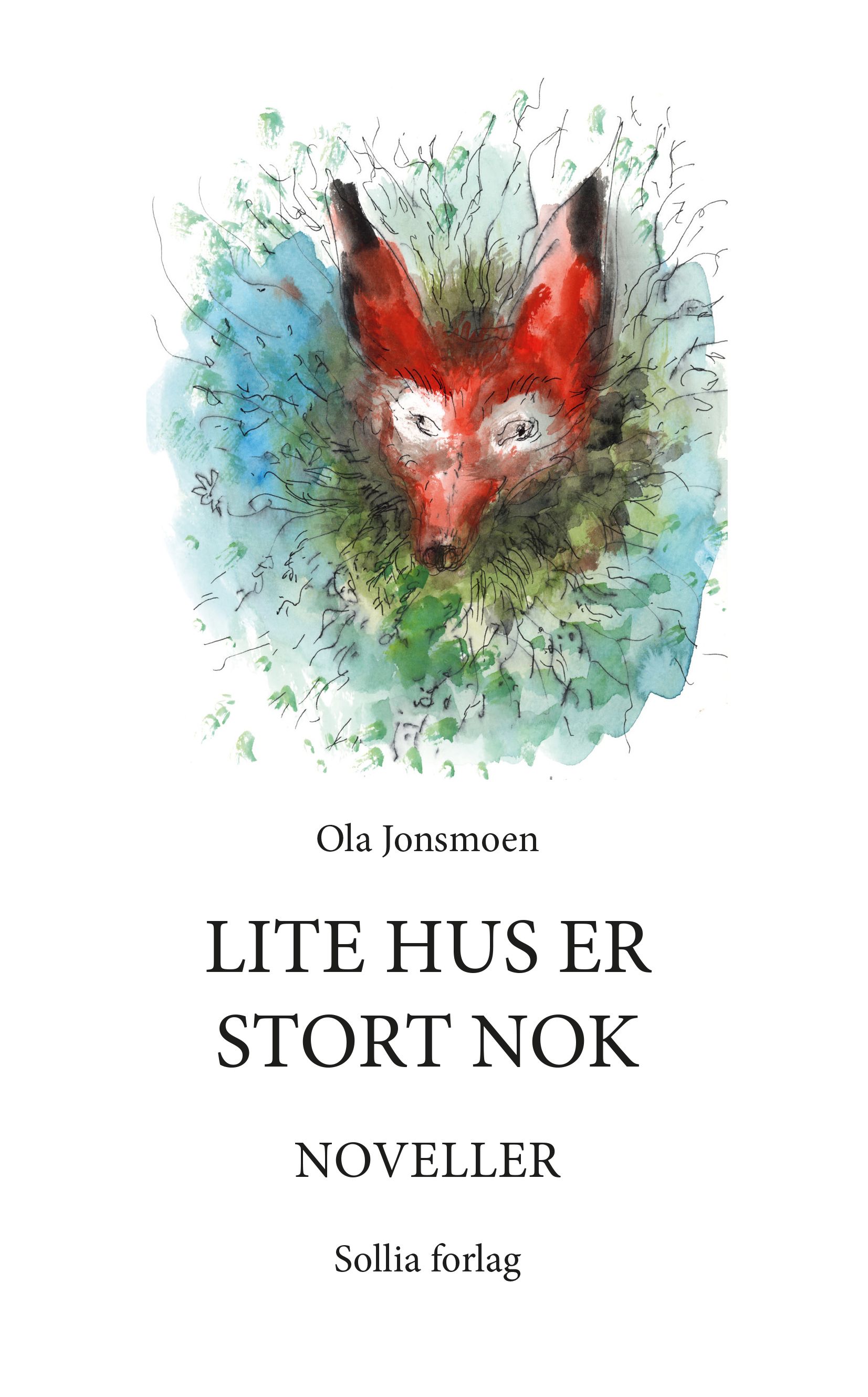 Lite hus er stort nok - noveller