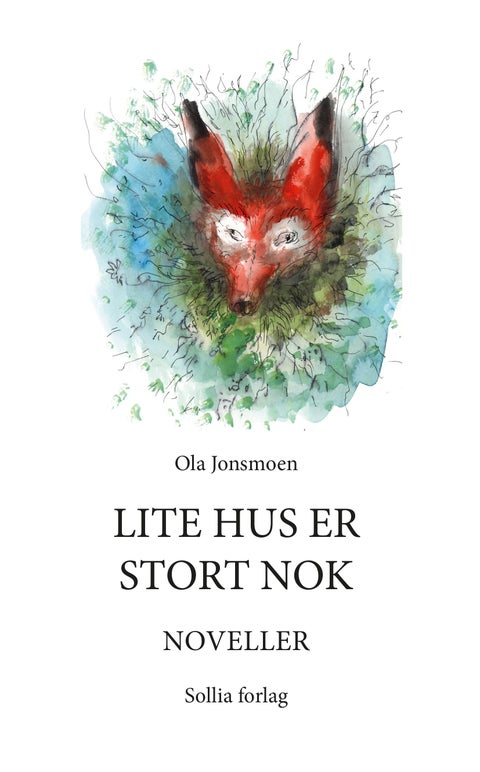 Lite hus er stort nok - noveller
