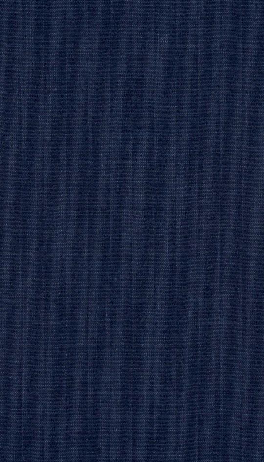 Carl Johan sett med samtidens øyne