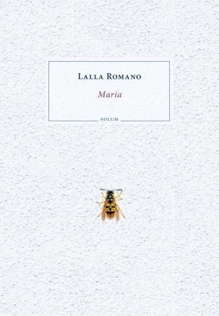 Maria - roman