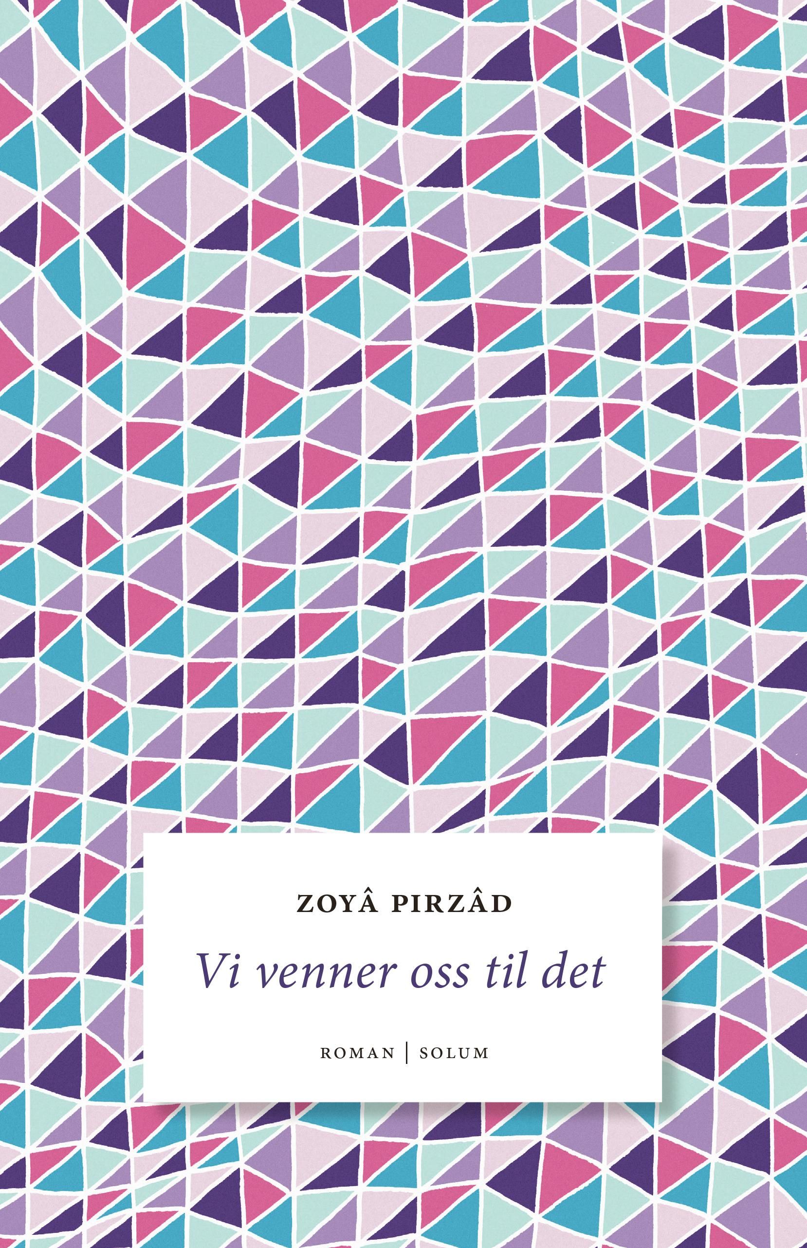 Vi venner oss til det - roman