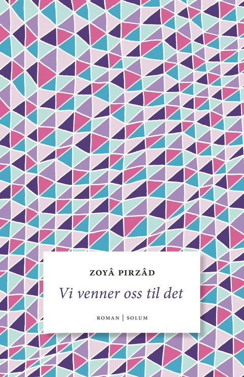 Vi venner oss til det - roman