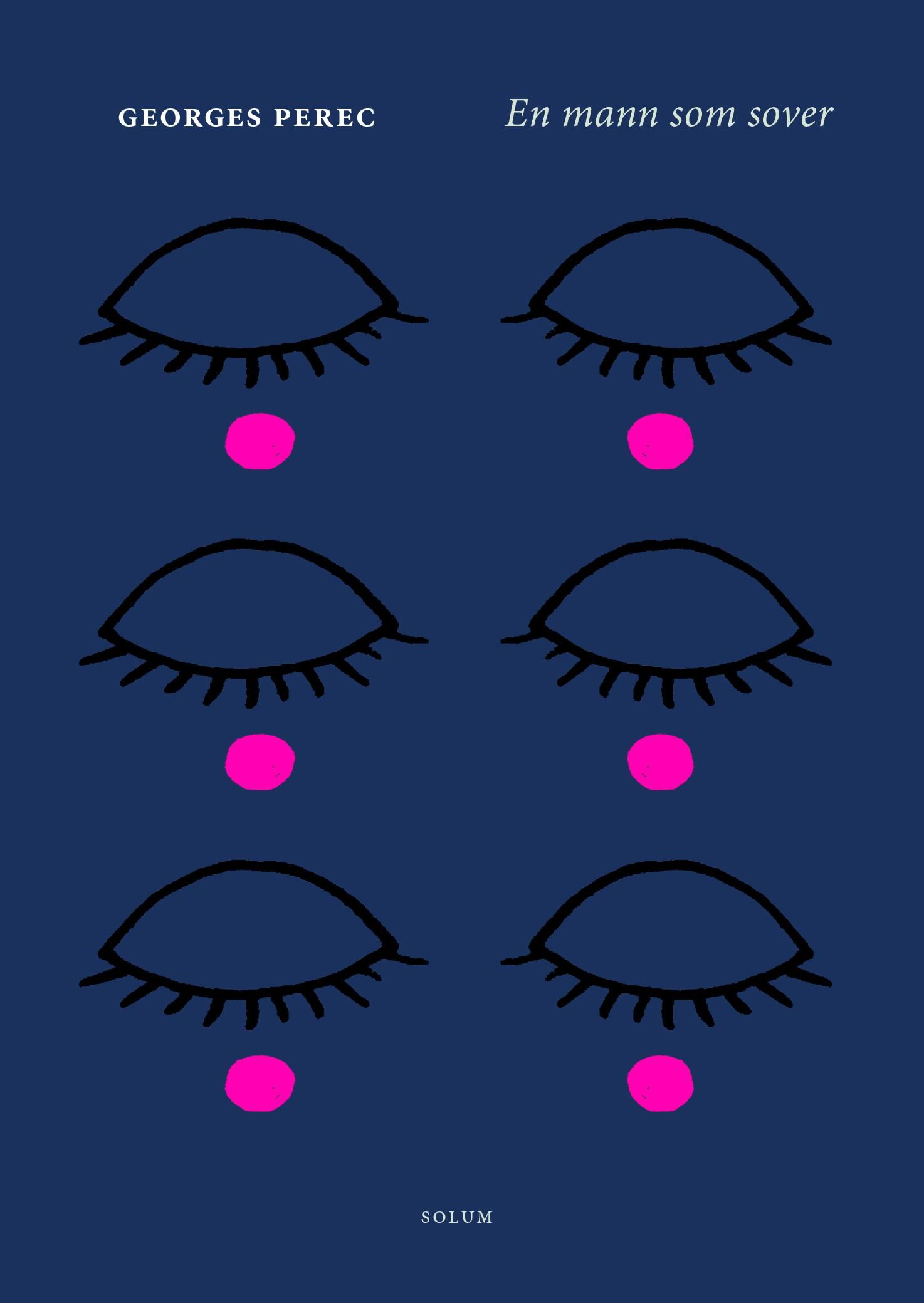 En mann som sover - roman