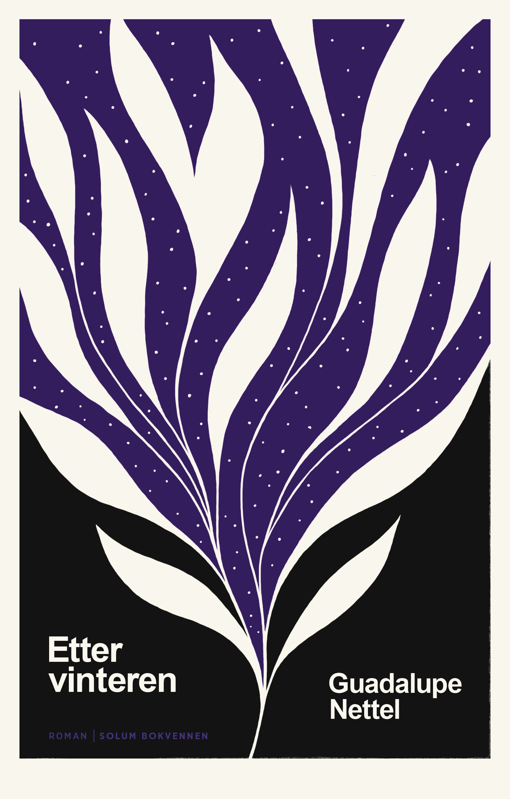 Etter vinteren - roman