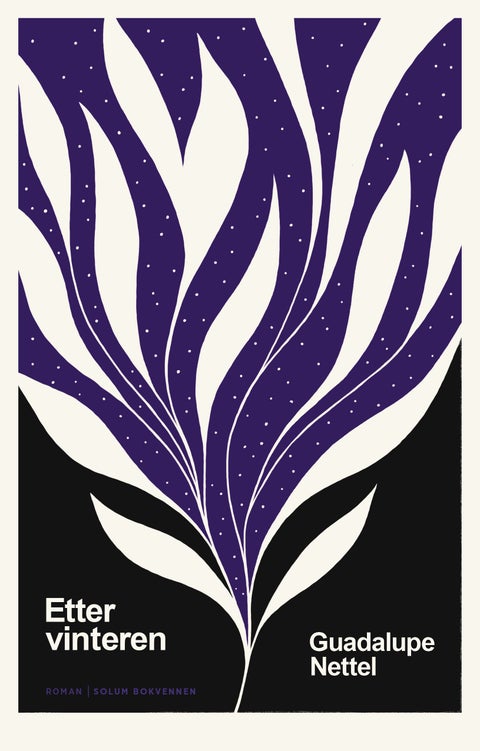 Etter vinteren - roman