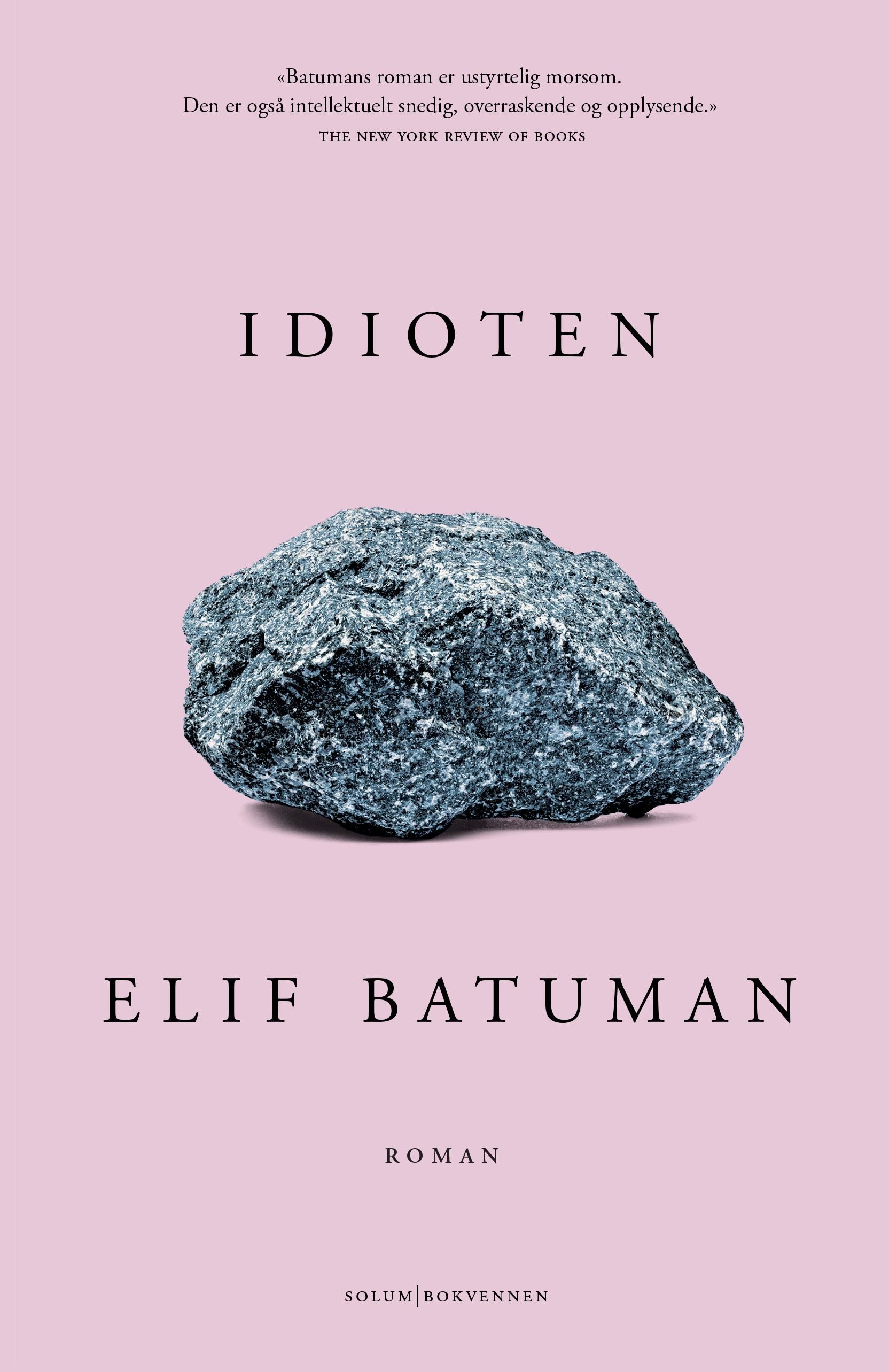 Idioten - roman
