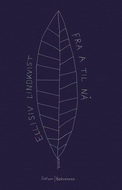 Fra a til nå - roman