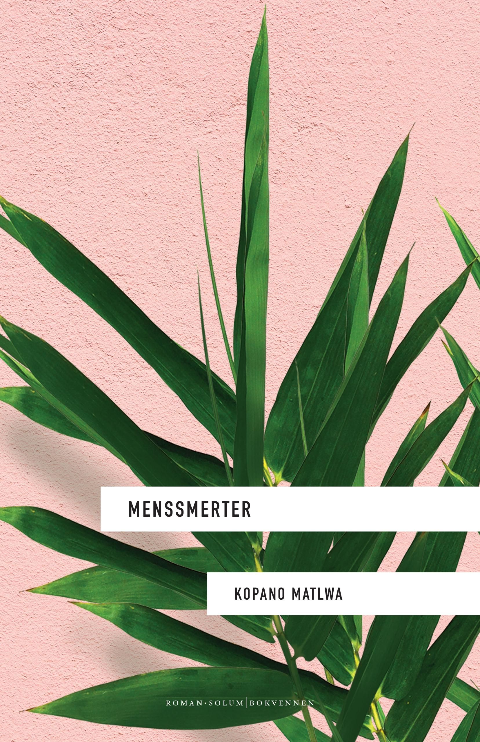Menssmerter - roman