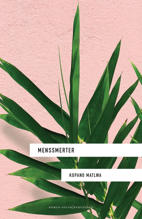 Menssmerter - roman