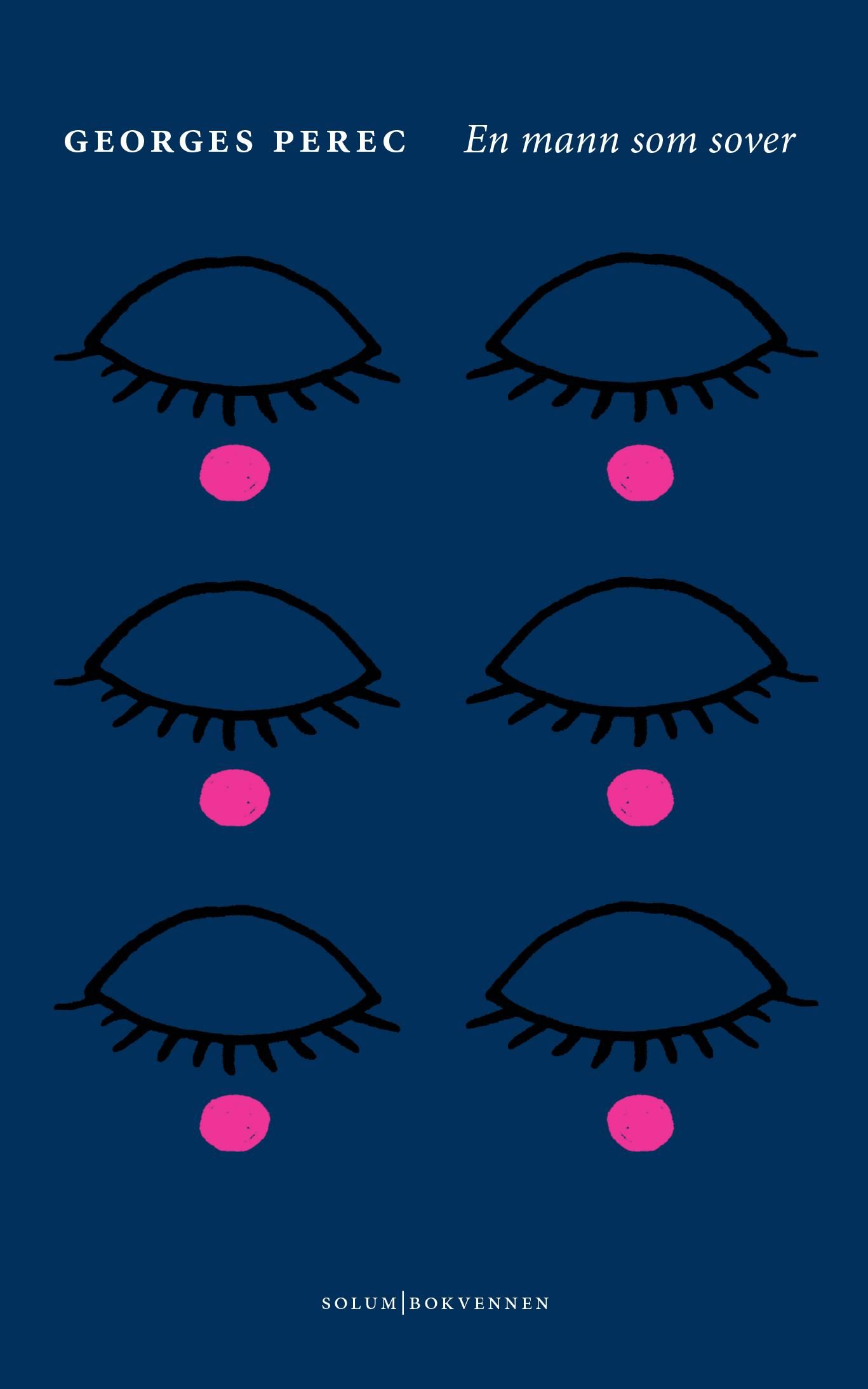 En mann som sover - roman