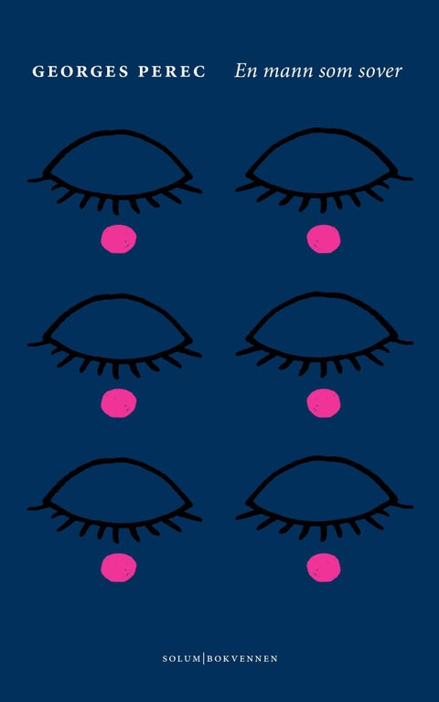 En mann som sover - roman