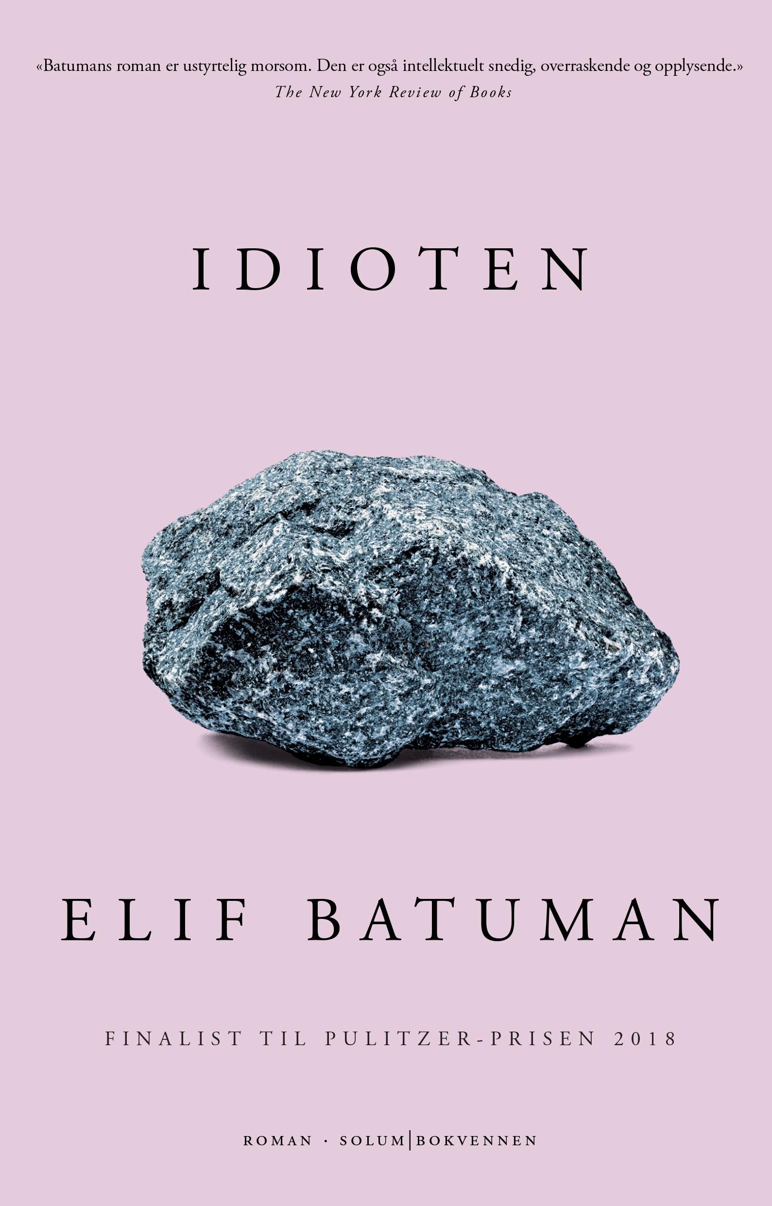 Idioten - roman