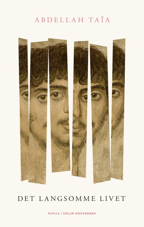 Det langsomme livet - roman