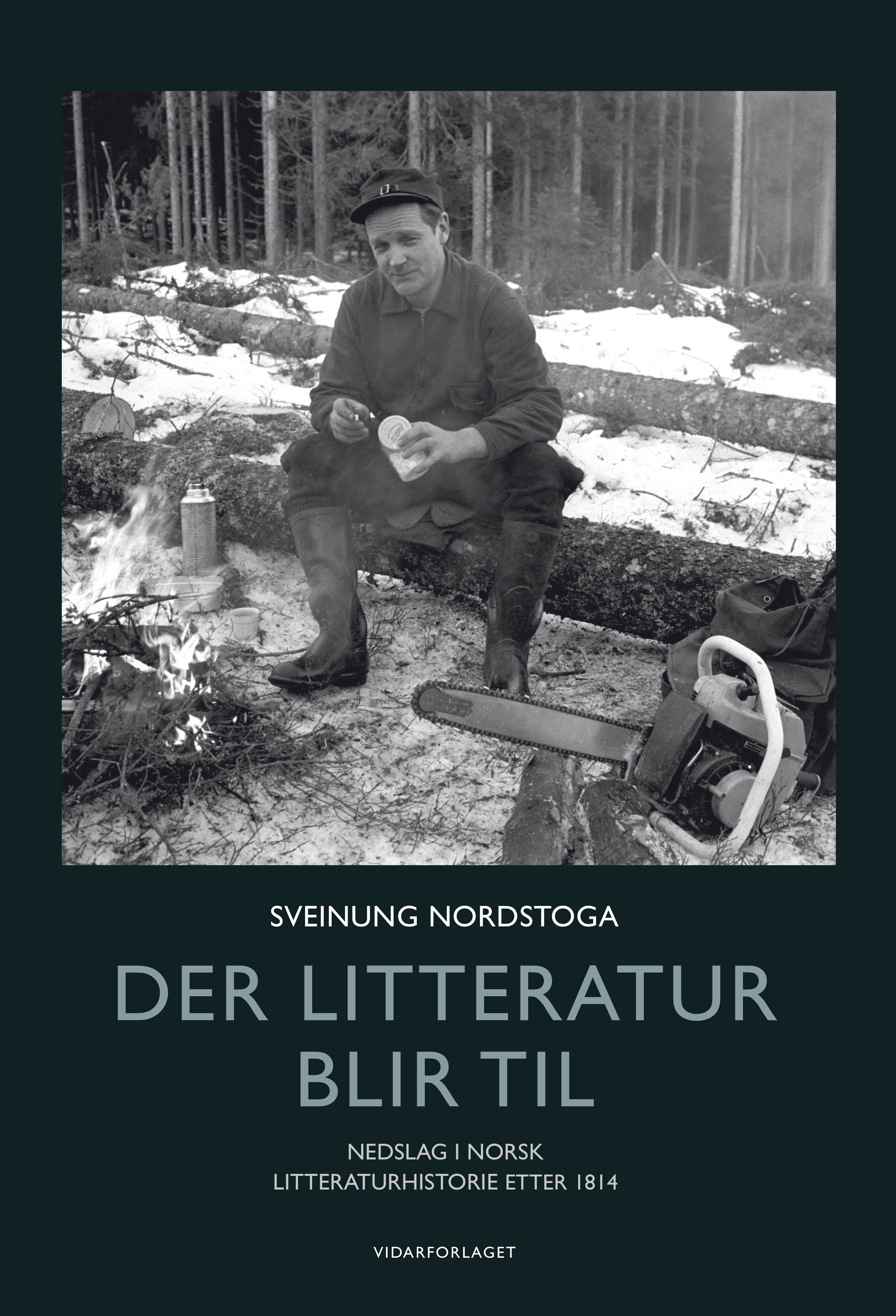 Der litteratur blir til - nedslag i norsk litteraturhistorie etter 1814