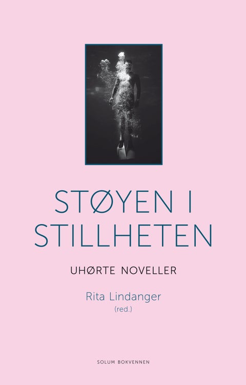 Støyen i stillheten - uhørte noveller