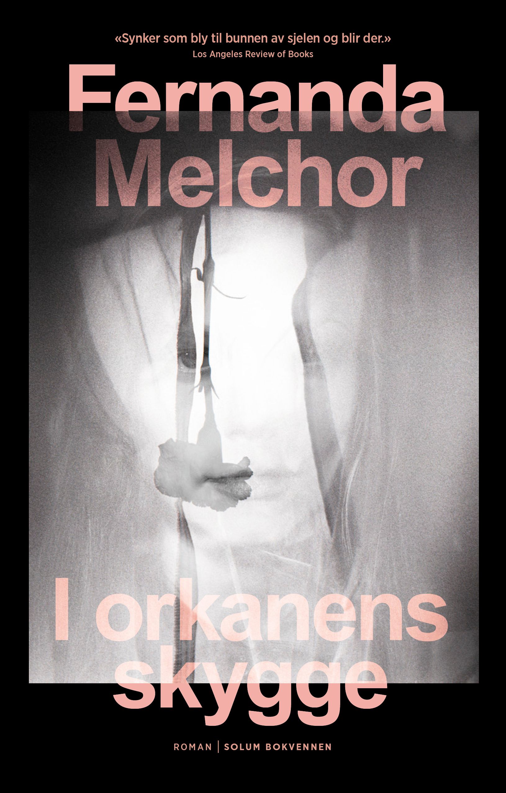 I orkanens skygge - roman