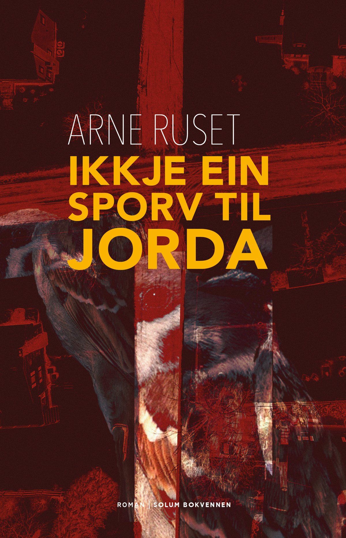 Ikkje ein sporv til jorda - roman