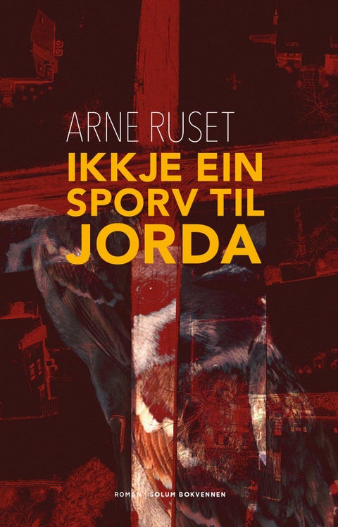 Ikkje ein sporv til jorda - roman