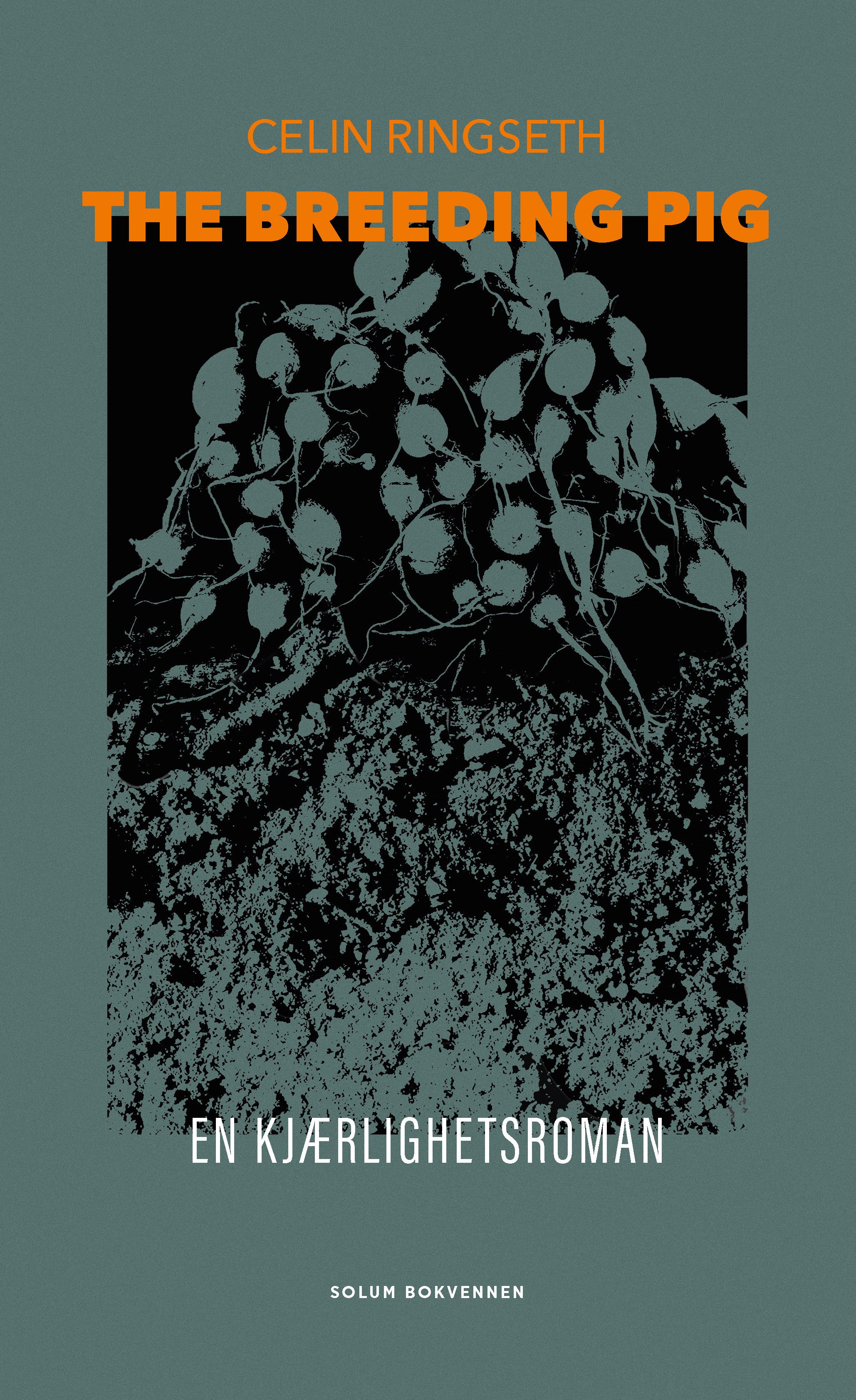 The breeding pig - en kjærlighetsroman