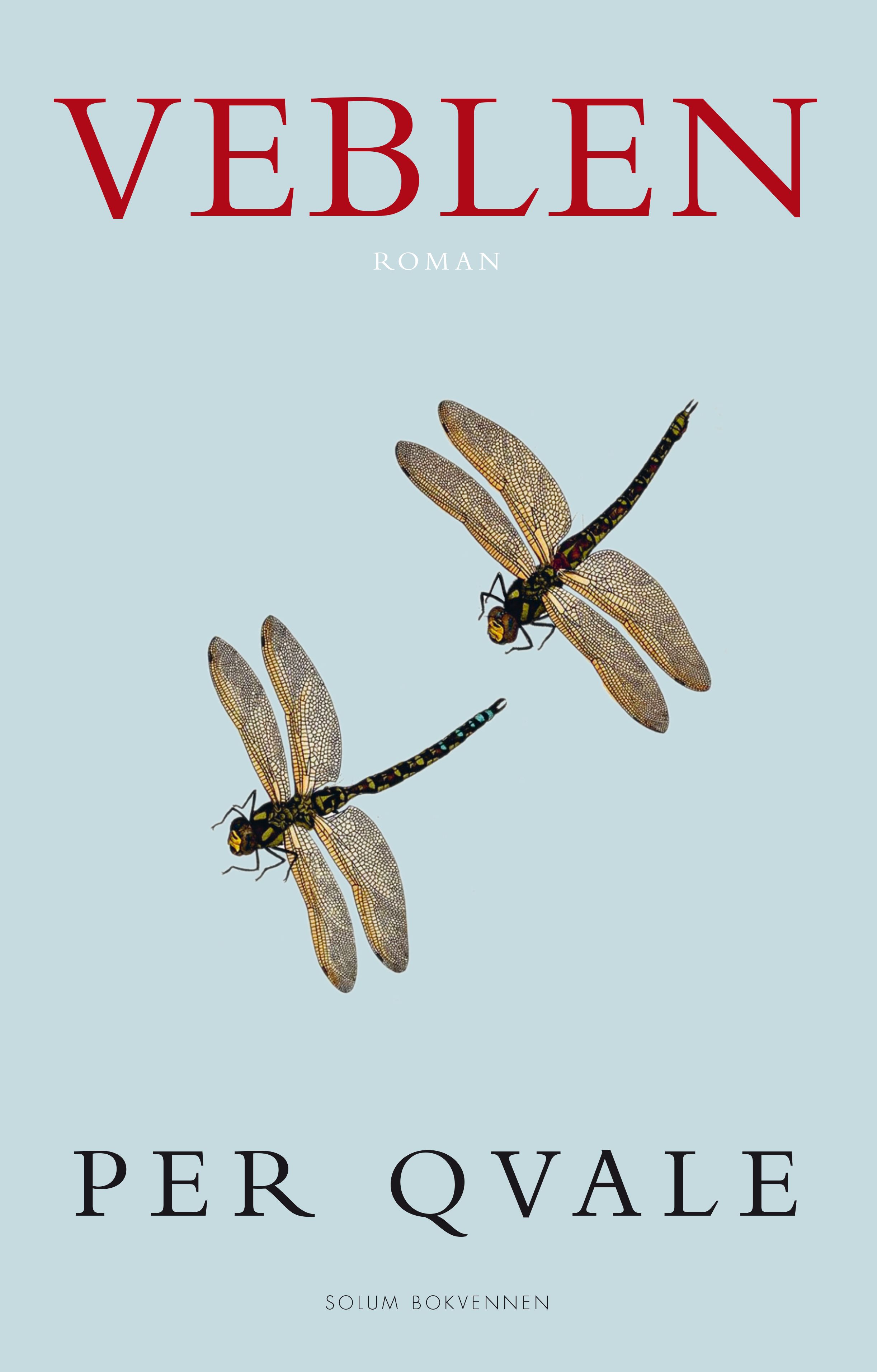 Veblen - om det ugjenkallelige : roman