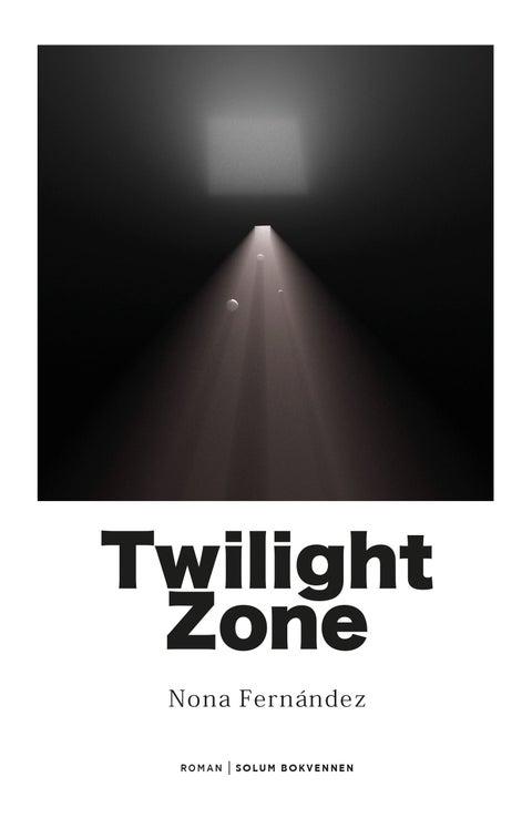 Twilight zone - roman