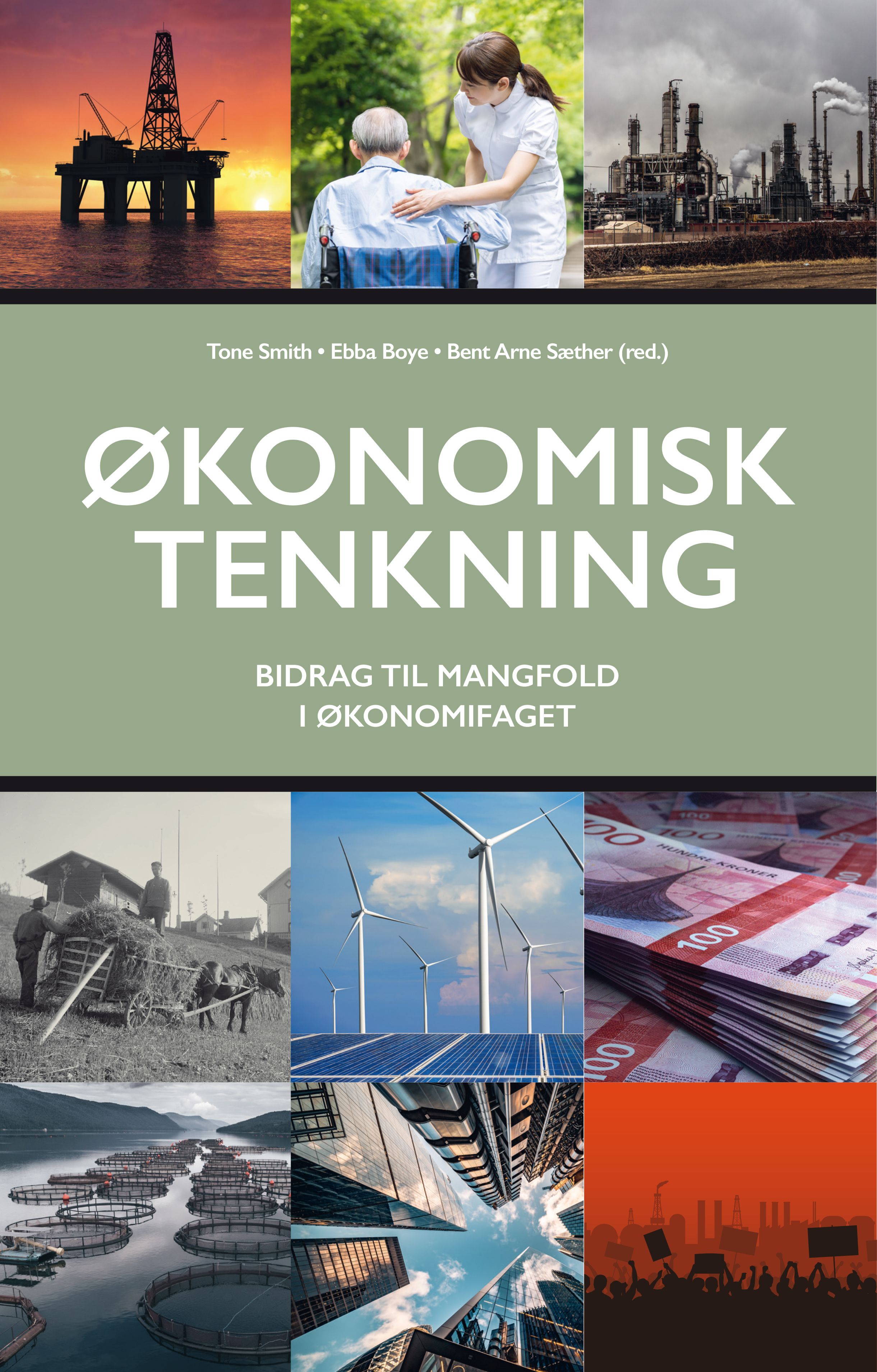 Økonomisk tenkning - bidrag til mangfold  i økonomifaget