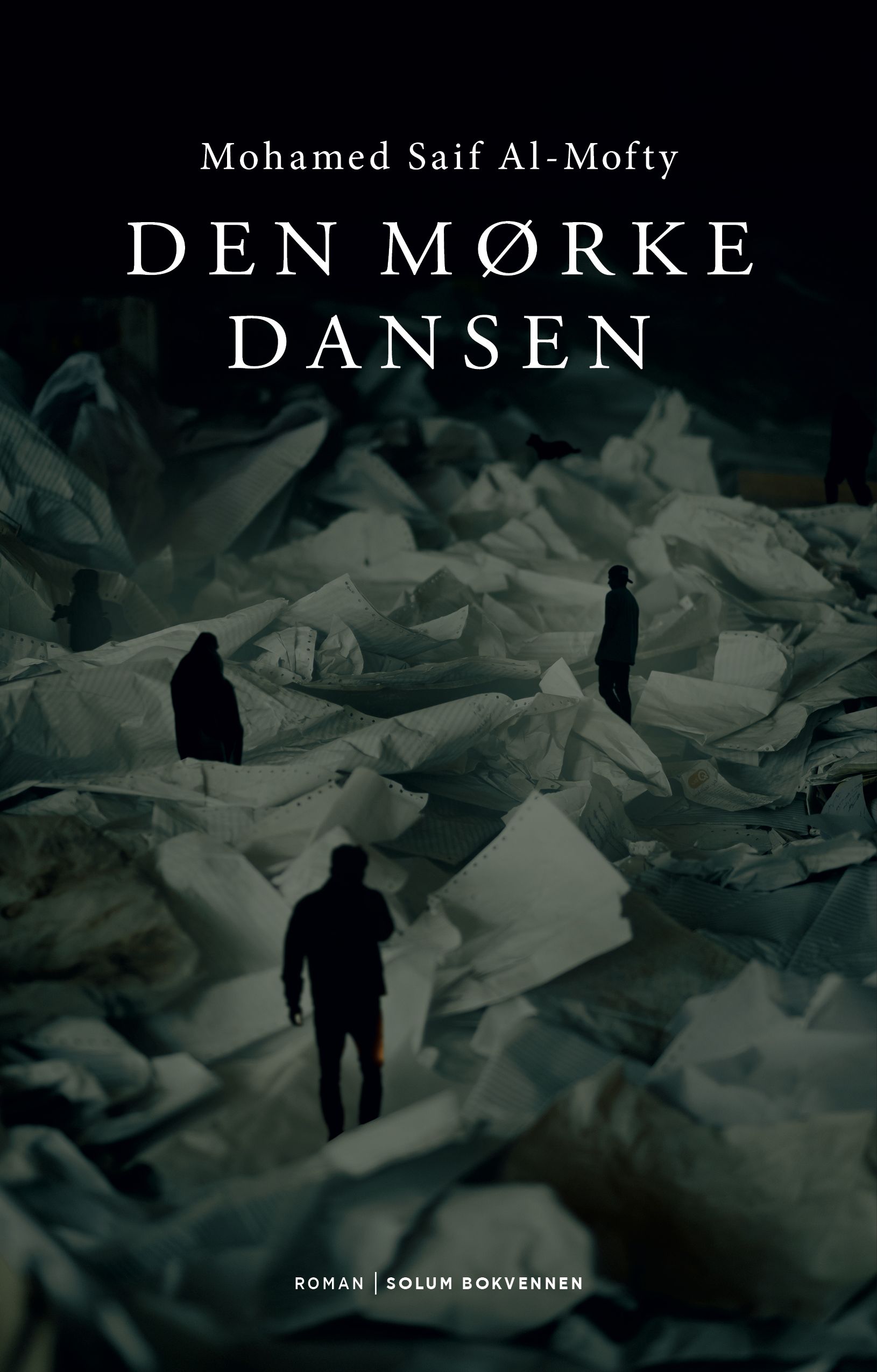 Den mørke dansen - roman