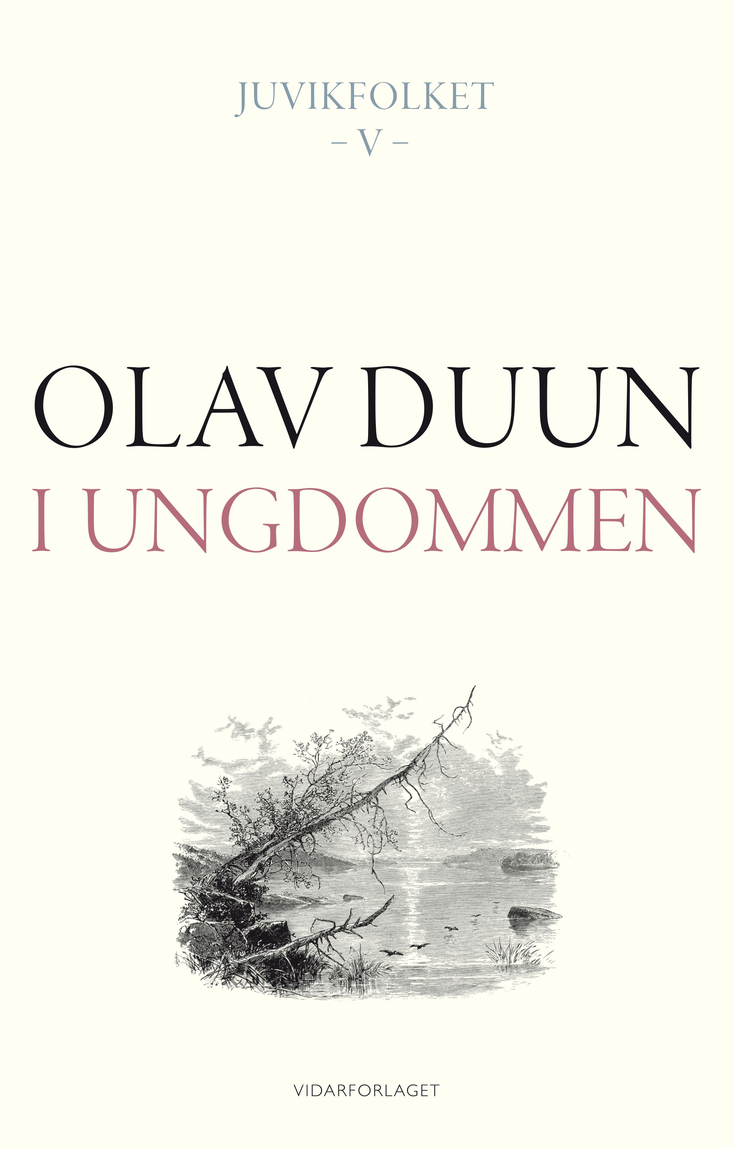 I ungdommen - roman