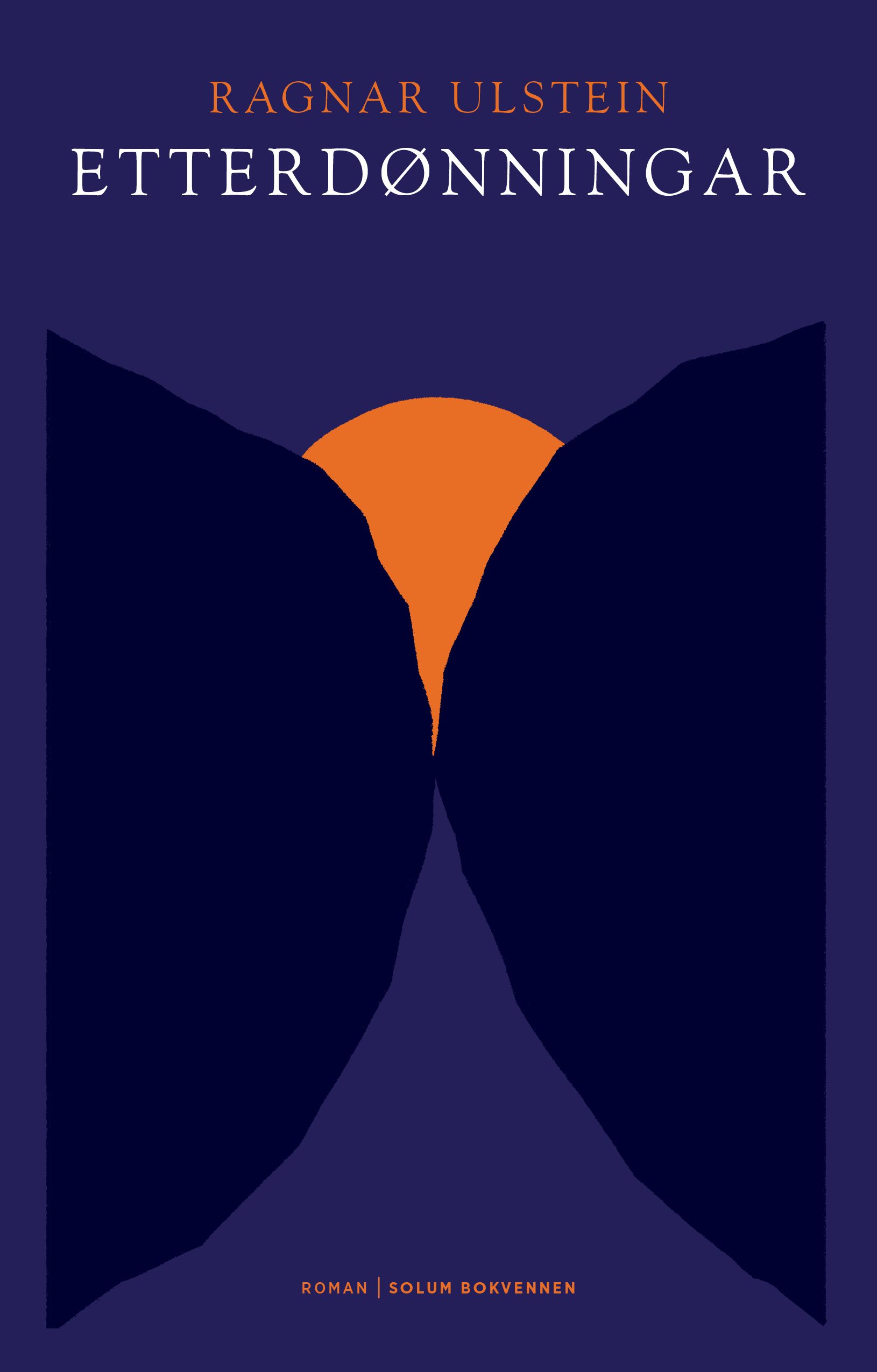 Etterdønningar - roman