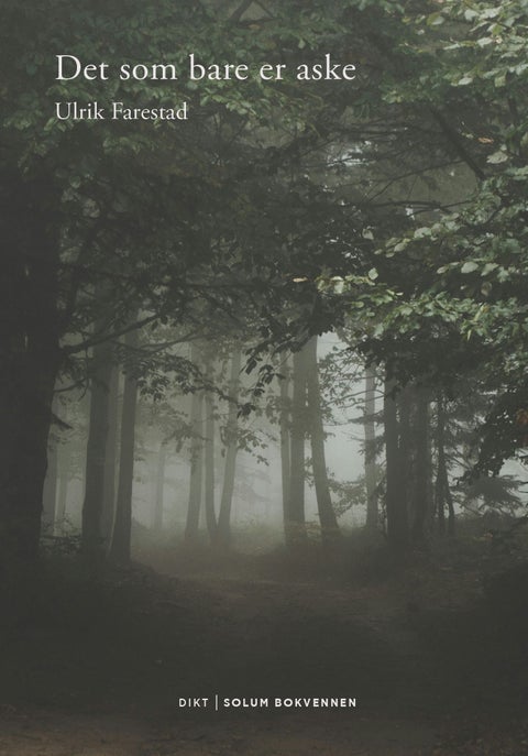 Det som bare er aske - dikt