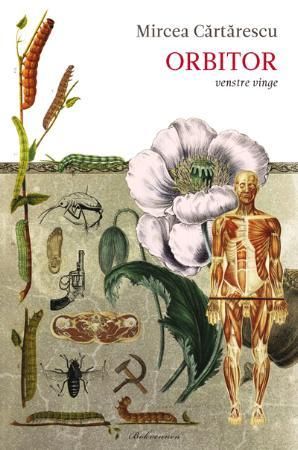 Orbitor - venstre vinge