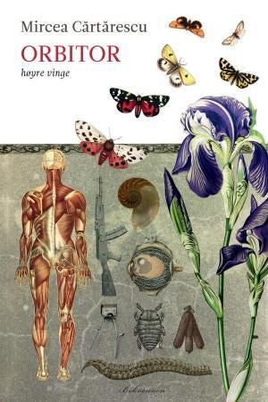 Orbitor - høyre vinge