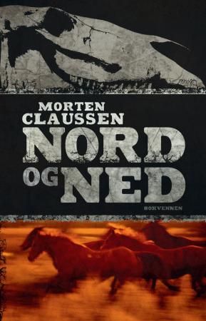 Nord og ned - roman