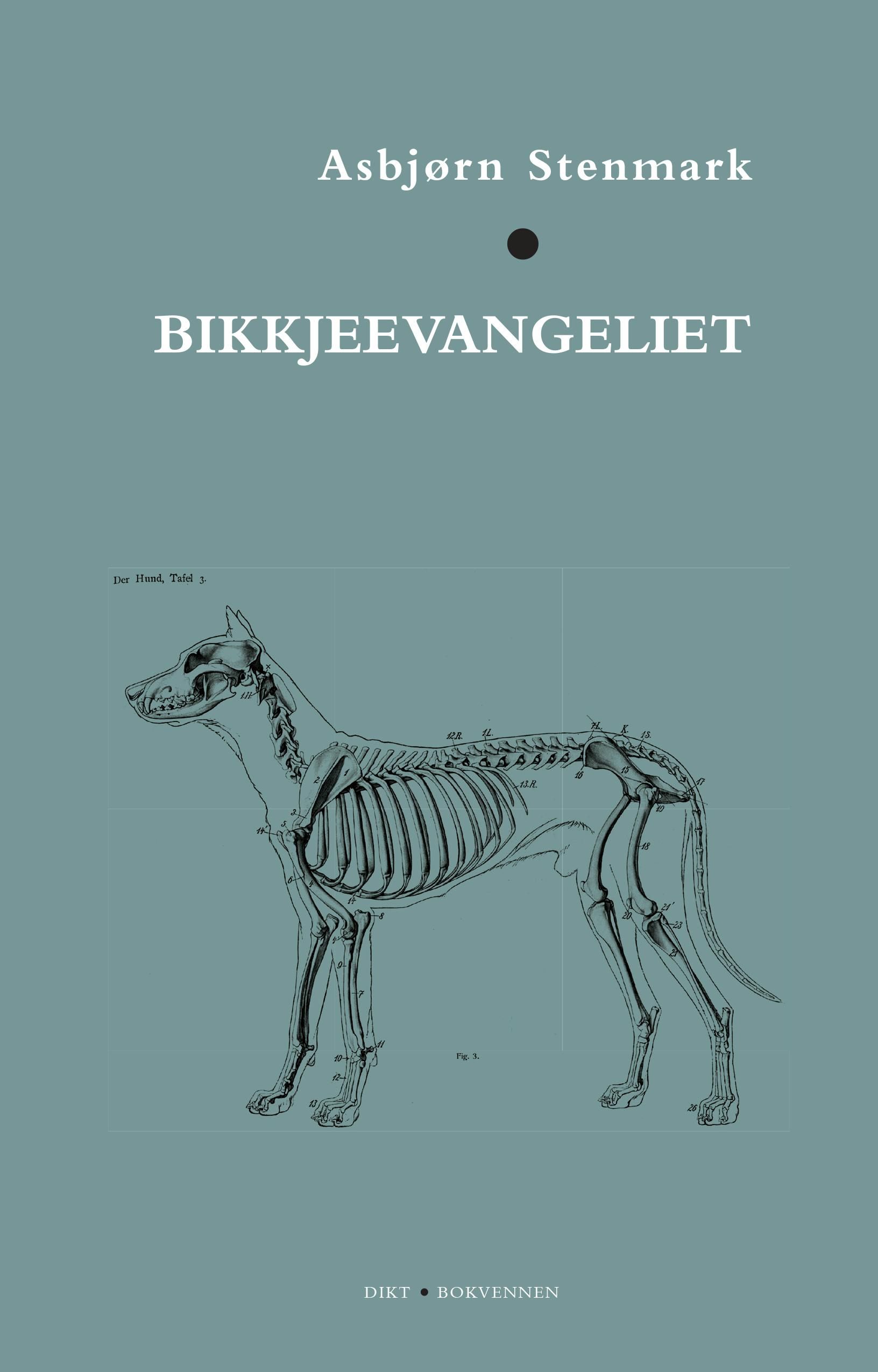 Bikkjeevangeliet - dikt
