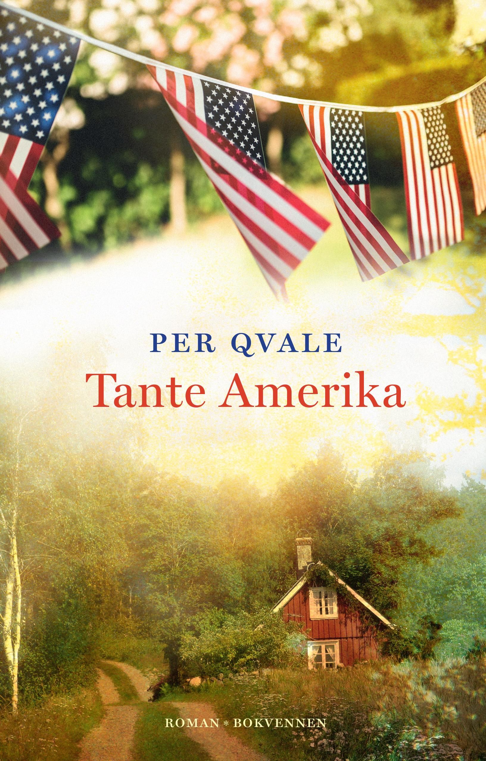 Tante Amerika - om det ubotelige : en fortelling